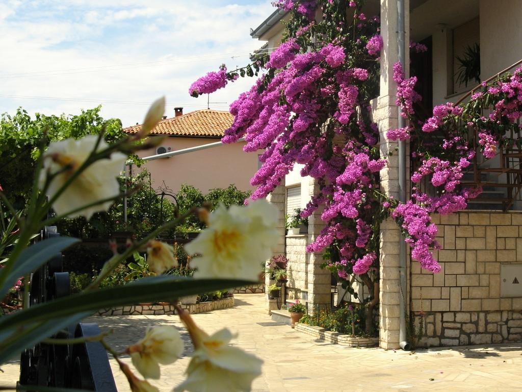 Apartament Rosa