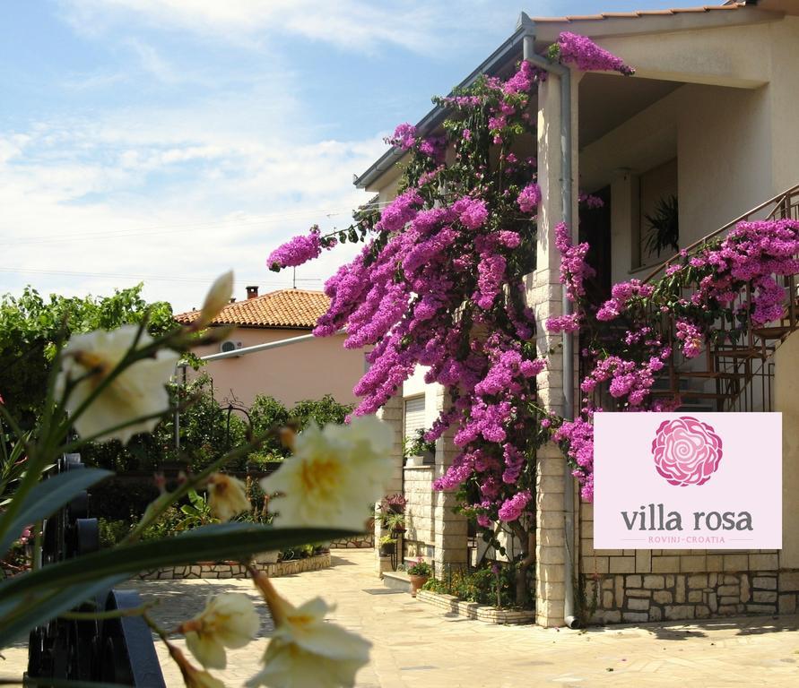 Apartament Rosa